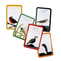 Aves de Chile